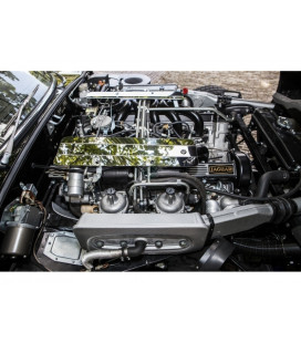 Jaguar revisie