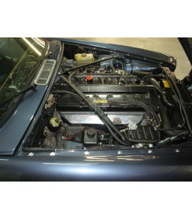 Jaguar motor ombouwen